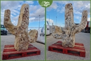 Cactus in Pietra - cm. 130x65x160 h. - Kg. 1000 1950,00€